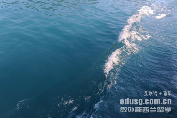 奥克兰理工大学和怀卡托大学哪个好