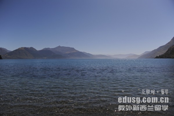 本科护士怎么去新西兰留学