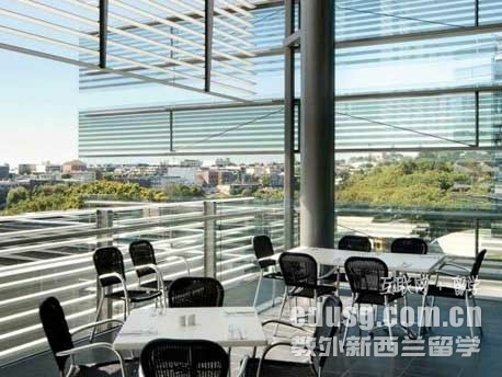 ib申请奥克兰大学