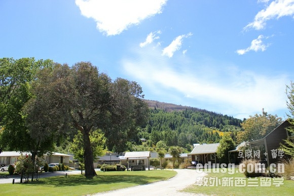 新西兰好毕业的大学