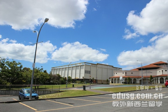 梅西大学航空学硕士