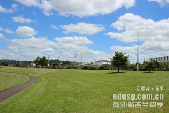 梅西大学航空学硕士