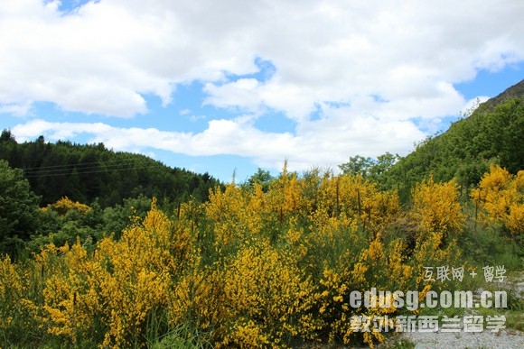 ������������ѧ����Ԣ