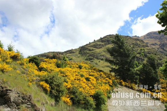 ������������ѧ����Ԣ