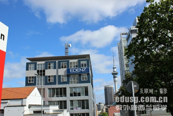 新西兰惠灵顿的大学