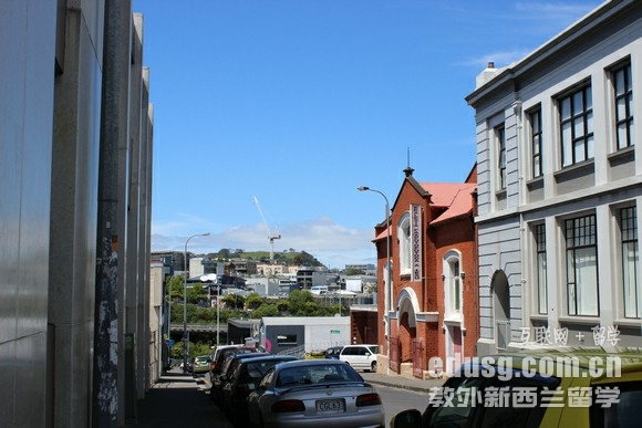 新西兰留学生的出路