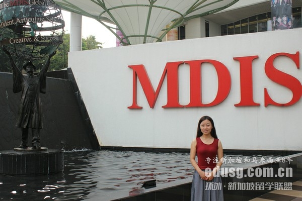 mdis��ר������˼Ҫ��