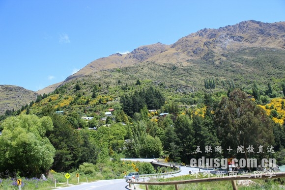 新西兰哪些大学好