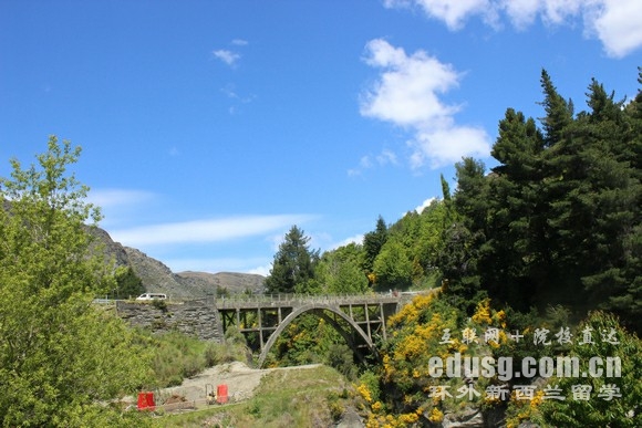 中学生留学新西兰