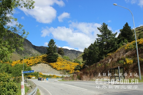 奥克兰理工和梅西哪个大学好