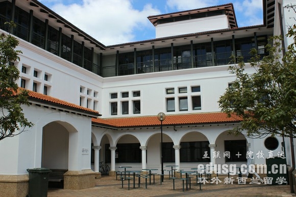 梅西大学教育水平