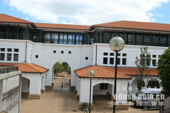 梅西大学教育水平