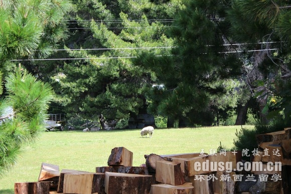 新西兰有几所公立大学