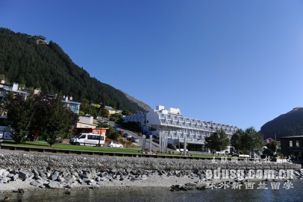 新西兰一共有多少所理工学院