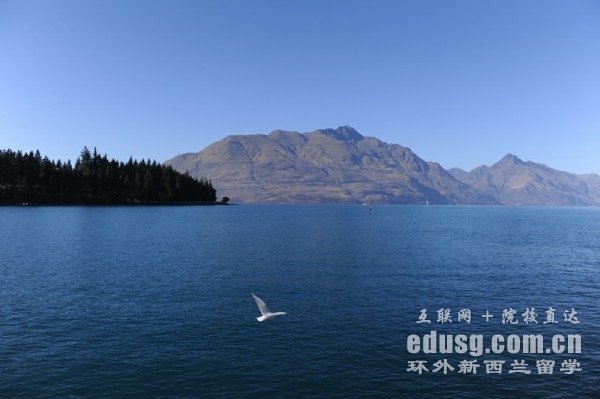 新西兰一共有多少所理工学院