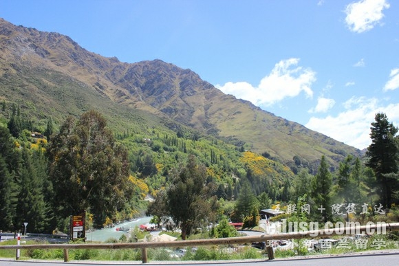 新西兰北帕默斯顿有哪些大学