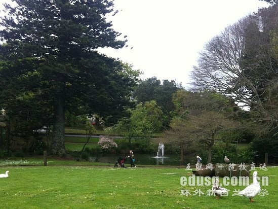 坎特伯雷大学高考申请