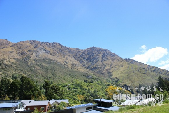 奥克兰国立理工学院有哪些