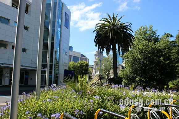 奥克兰理工报名截止时间