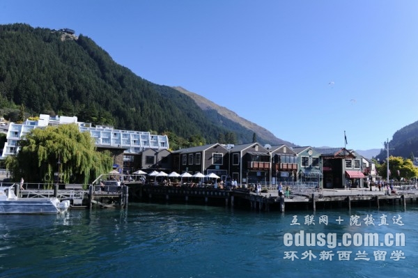 新西兰有啥好大学