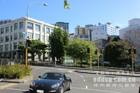 孩子新西兰留学能陪读吗