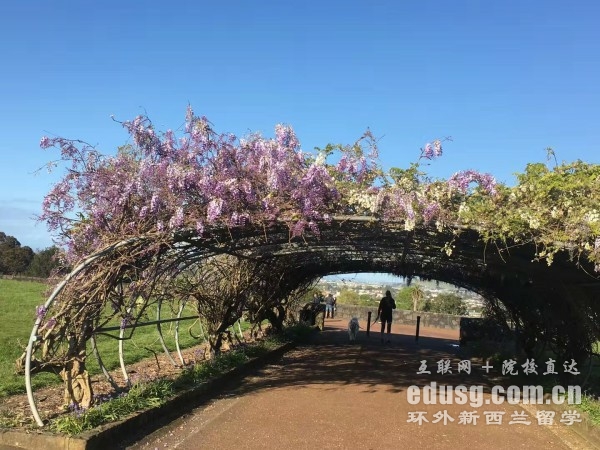 新西兰证书课程多长时间