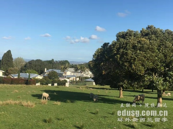 新西兰证书课程多长时间