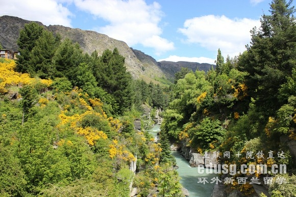 新西兰2020留学优势