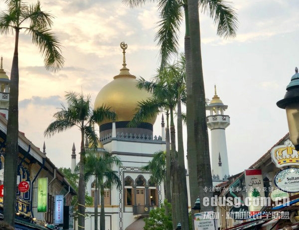 新加坡管大应用金融专业