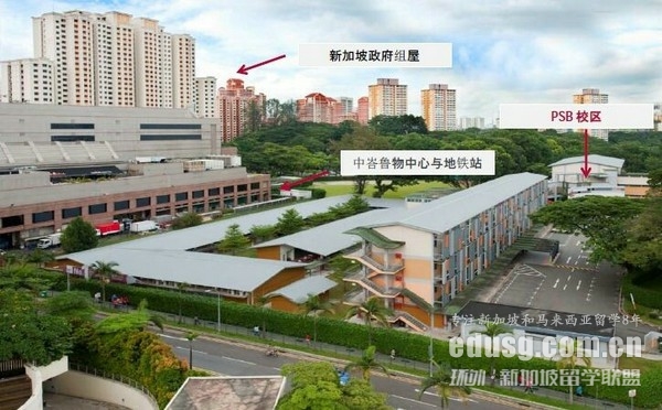 新加坡信息技术专业学什么