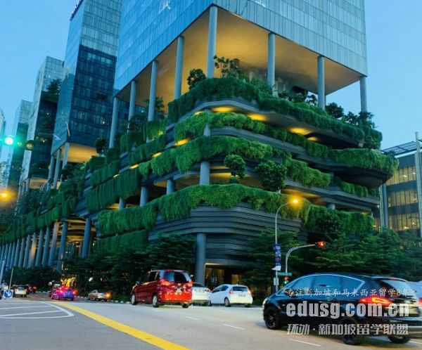 新加坡留学网申