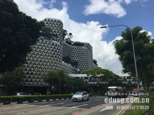 新加坡留学网申