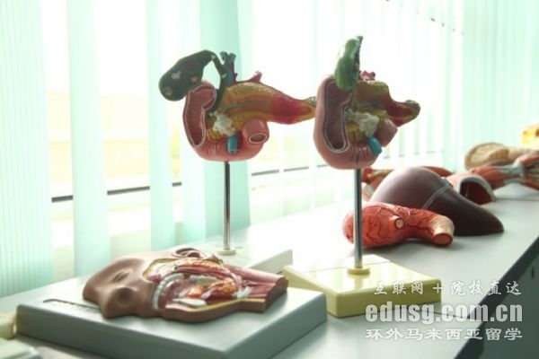 英迪大学管理专业