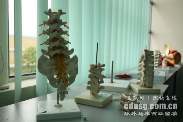 英迪大学管理专业