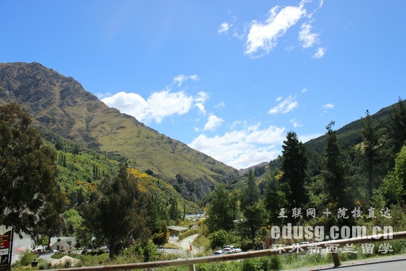 新西兰有什么好大学