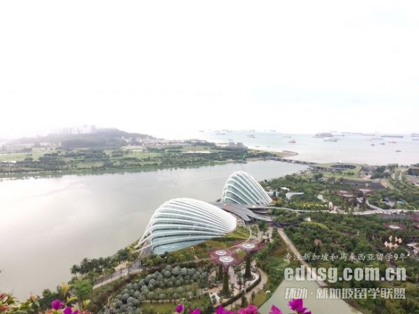 没有高考可以出国留学吗