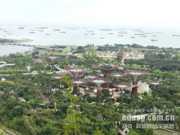 新加坡的大学排行