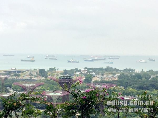 新加坡最好的大学学费