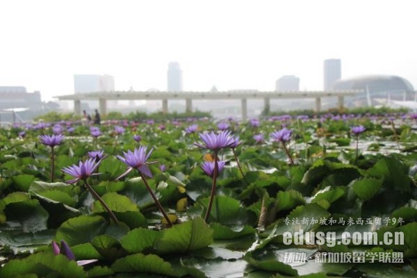 �¼��¶���ѧһ�����Ǯ