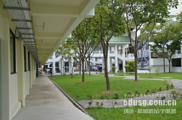 jcu新加坡校区开设的专业