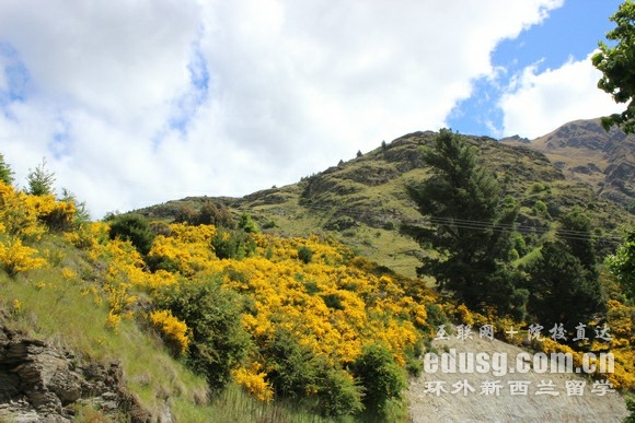 �����������׽���Ҫ����ѧ��