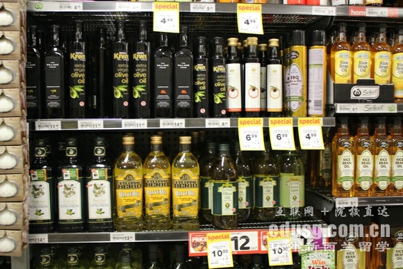 出国新西兰留学需要多少钱