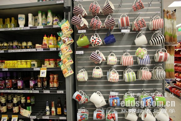 出国新西兰留学需要多少钱