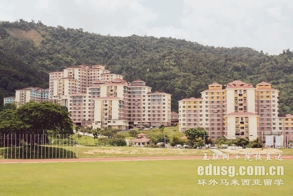 ������������������ô��