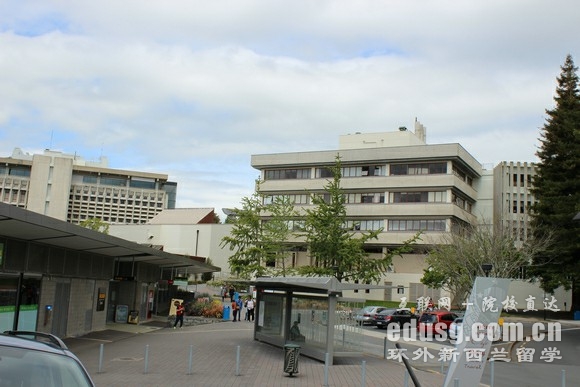 新西兰怀卡托大学住宿