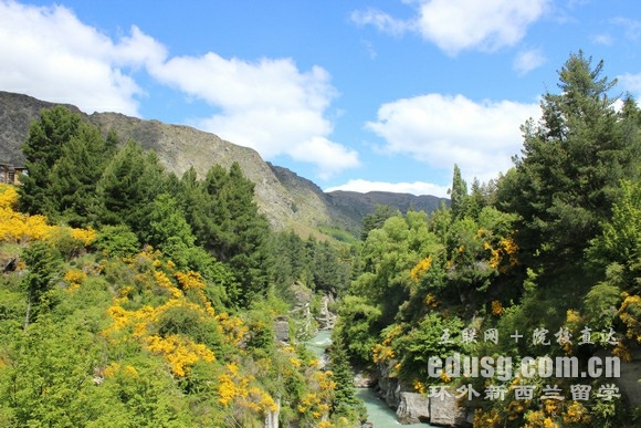 �������о�����ѧ�ܷ���