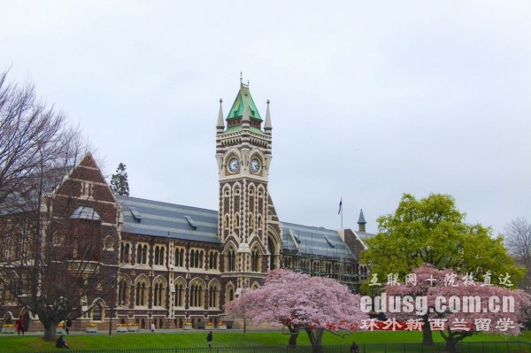 新西兰大学世界排名第几