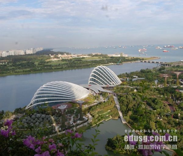 2023qs排名前100的大学