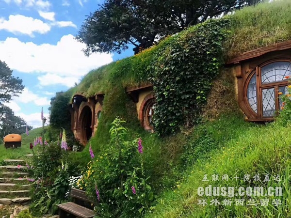 新西兰留学一年多少费用