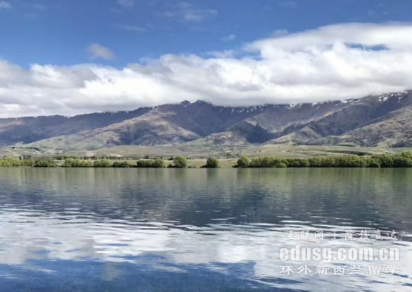 新西兰一年学费多少钱